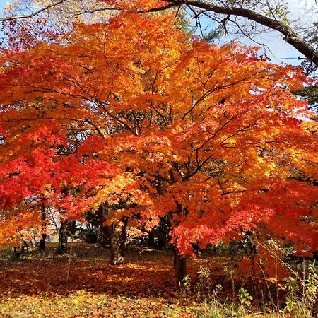 ゲストハウス山田 伊達市 エクステリア 写真
