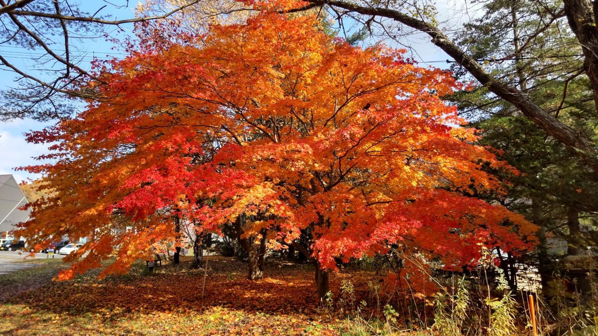 ゲストハウス山田 伊達市 エクステリア 写真